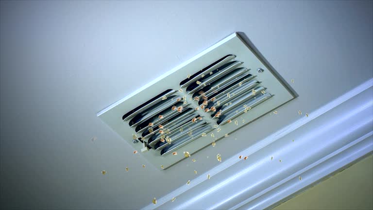 Best Air Duct Cleaning Near Me  in Wilsonville, OR