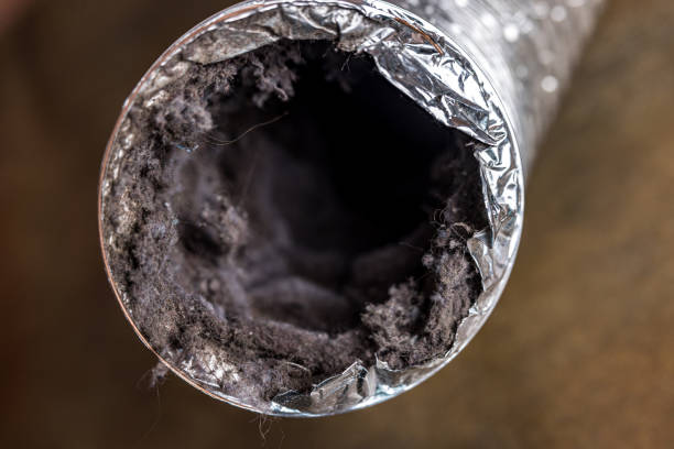 Best HVAC Air Duct Cleaning  in Wilsonville, OR